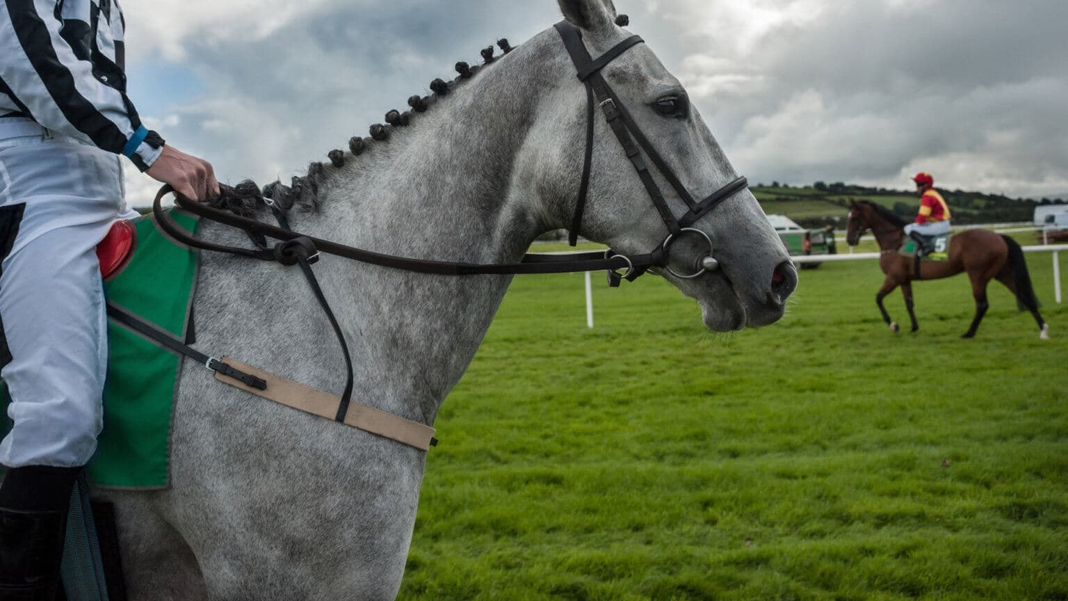 horse-arena-sand-racing-track-sand-for-horses-river-sands